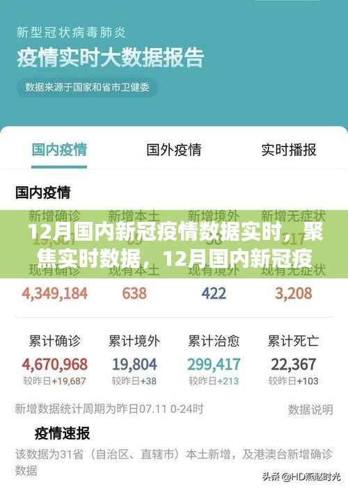 12月国内新冠疫情实时数据与深度解析报告