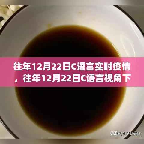 往年12月22日视角下的C语言实时疫情追踪与数据分析