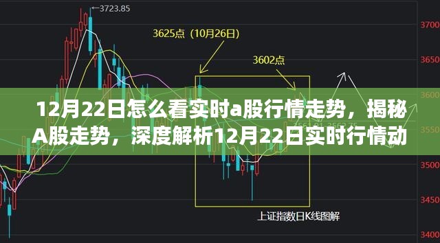 揭秘A股走势，深度解析12月22日实时行情动态与策略建议
