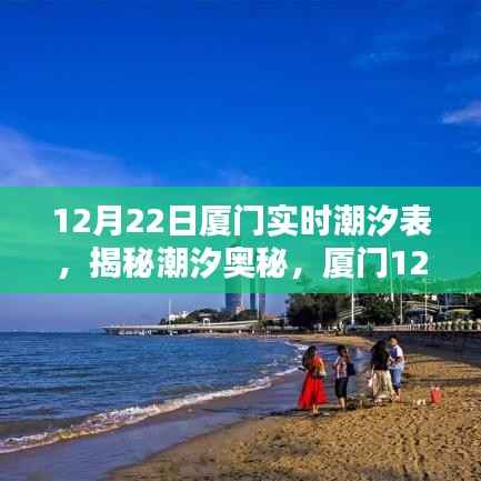 揭秘潮汐奥秘，厦门12月22日潮汐实时表深度解析