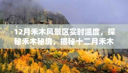 揭秘十二月禾木风景区冰雪奇缘的实时温度，探秘禾木秘境之旅