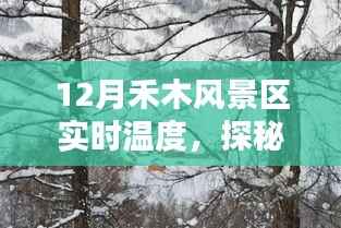 揭秘十二月禾木风景区冰雪奇缘的实时温度,探秘禾木秘境之旅