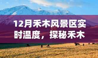 揭秘十二月禾木风景区冰雪奇缘的实时温度,探秘禾木秘境之旅