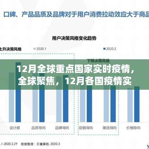 全球聚焦,12月各国疫情实时报告与防控洞察