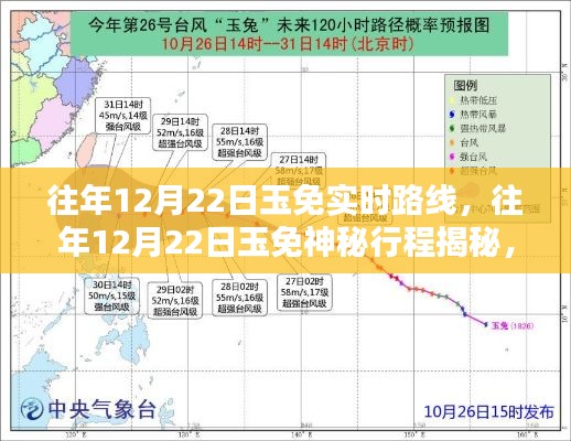 虫蚀鸟步 第5页