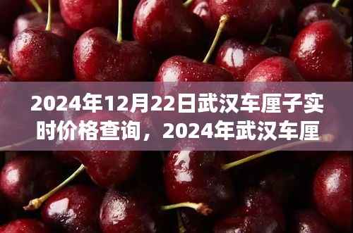 2024年武汉车厘子盛宴，实时价格查询与市场洞察