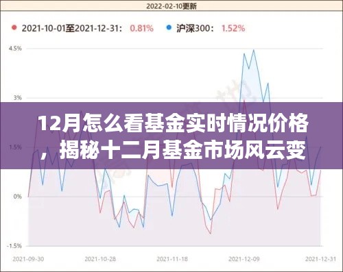 揭秘十二月基金市场风云变幻，实时洞察基金价格动态与行情分析