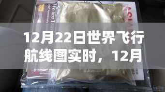 全球飞行航线实时动态解析,12月22日世界飞行航线图瞭望与解析