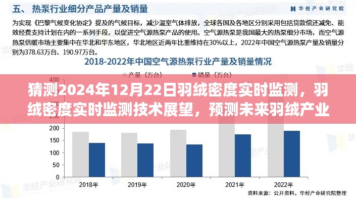 羽绒密度实时监测技术展望,羽绒产业变革蓝图预测(羽绒密度实时监测技术发展趋势探讨)