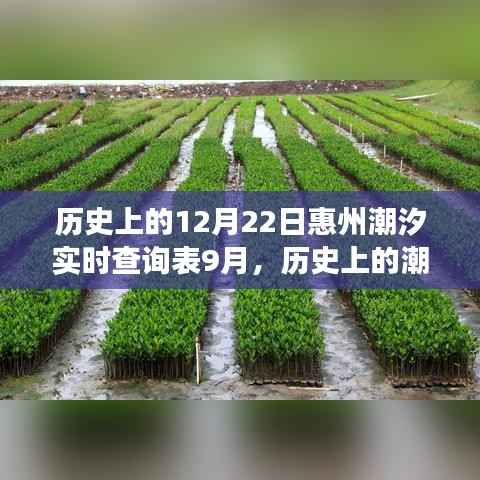 揭秘惠州潮汐变迁，历史上的潮汐实时查询表与十二月二十二日的奥秘