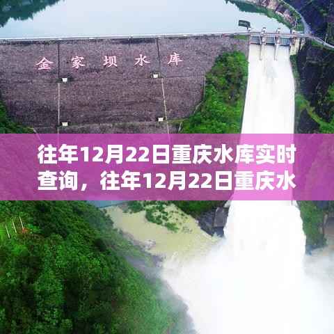 重庆水库历年12月22日实时数据深度解析与管理策略概览