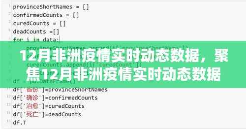 12月非洲疫情实时动态数据解析,挑战与应对策略聚焦