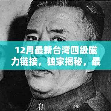 独家揭秘，最新台湾影视资源四级磁力链接大放送，开启12月观影盛宴！