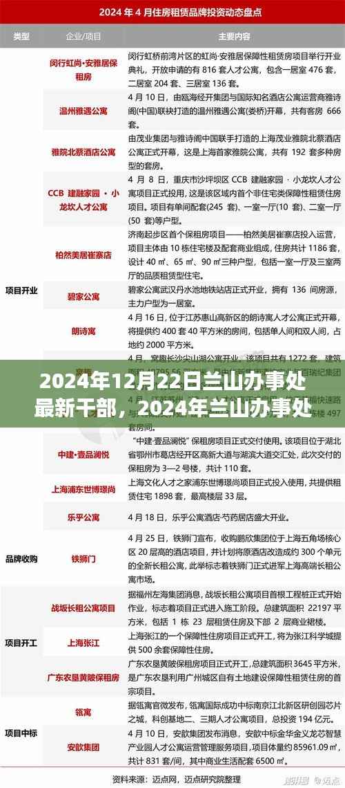 兰山办事处新干部风采展望,探寻未来领导团队的崭新面貌
