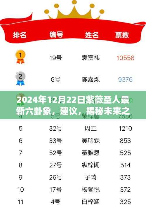 揭秘未来之星,紫薇圣人最新六卦象解读(以2024年12月22日为界)