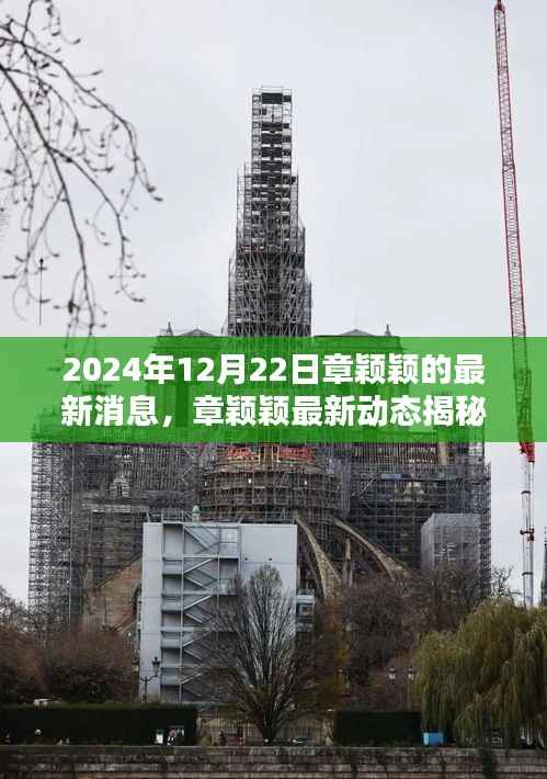 章颖颖最新动态揭秘，2024年12月22日更新消息速递