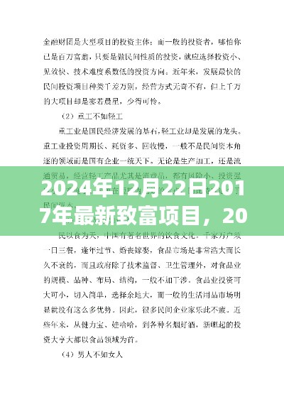 2024年视角下的致富新机遇，探寻2017年最新致富项目的长远展望