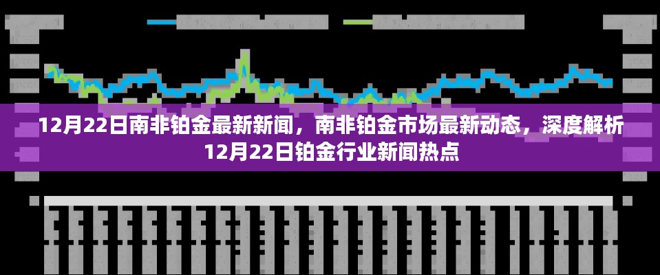 南非铂金市场动态解析,最新新闻与深度解读(12月22日)