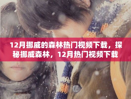 探秘挪威森林，十二月热门视频下载指南