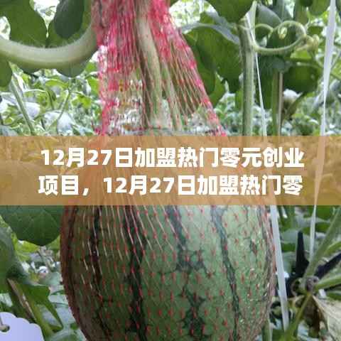 12月27日加盟热门零元创业项目，开启财富之门的新契机