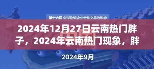 云南热门现象，胖子健康之旅与影响力崛起