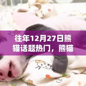 揭秘往年熊猫话题热门内幕，熊猫热潮持续升温的真相