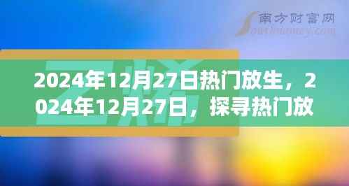 探寻热门放生新风尚,共筑生态和谐新篇章(2024年12月27日)