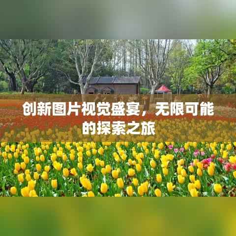 创新图片视觉盛宴，无限可能的探索之旅