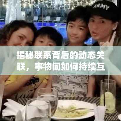 揭秘联系背后的动态关联，事物间如何持续互动与演变