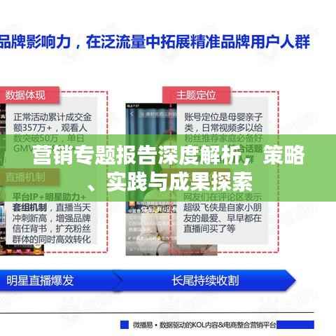 营销专题报告深度解析,策略、实践与成果探索