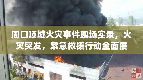 周口项城火灾事件现场实录,火灾突发,紧急救援行动全面展开
