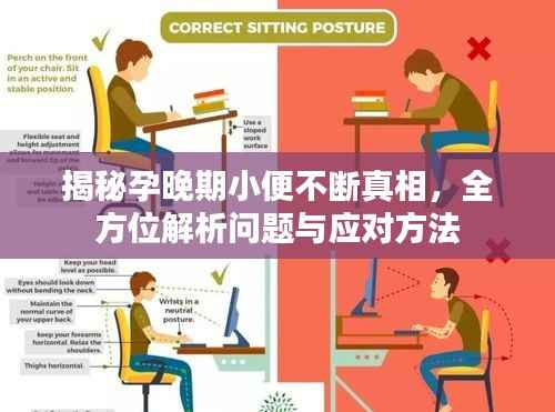 揭秘孕晚期小便不断真相，全方位解析问题与应对方法