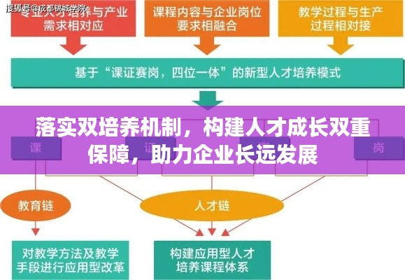 落实双培养机制,构建人才成长双重保障,助力企业长远发展