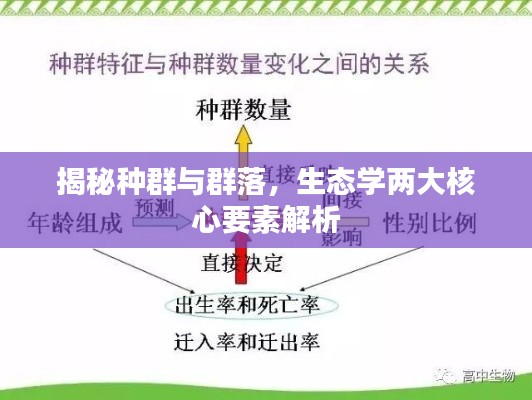 揭秘种群与群落,生态学两大核心要素解析