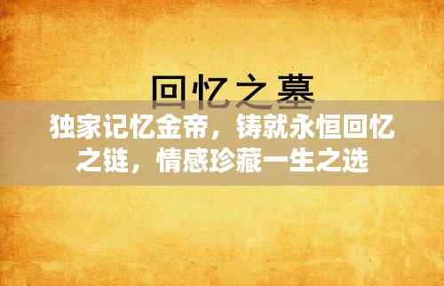 独家记忆金帝,铸就永恒回忆之链,情感珍藏一生之选