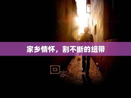 家乡情怀,割不断的纽带