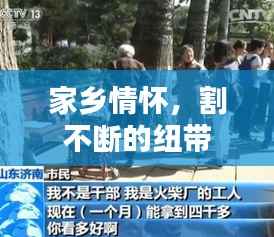 家乡情怀,割不断的纽带