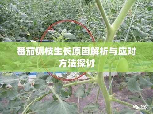 坐井观天 第5页