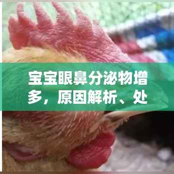 宝宝眼鼻分泌物增多,原因解析、处理方法与预防策略