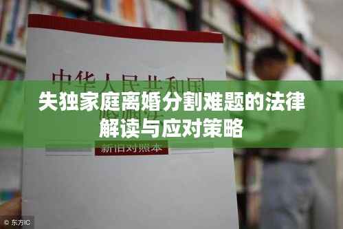 失独家庭离婚分割难题的法律解读与应对策略