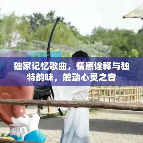 独家记忆歌曲,情感诠释与独特韵味,触动心灵之音