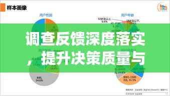 调查反馈深度落实，提升决策质量与执行效率的秘诀所在