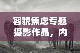 容貌焦虑专题摄影作品,内外交织的心灵探索之旅