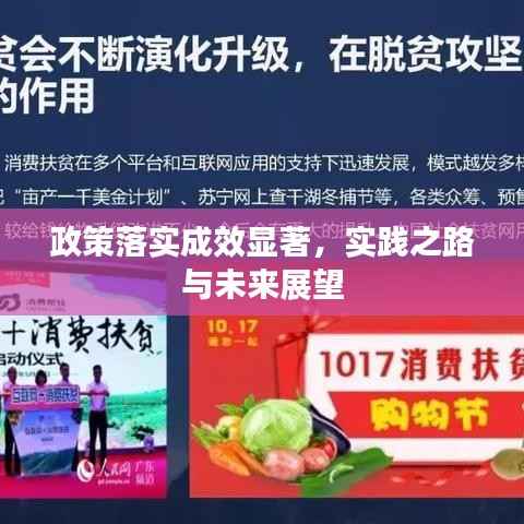 政策落实成效显著,实践之路与未来展望