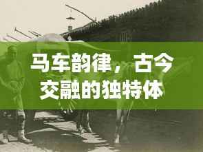马车韵律，古今交融的独特体验