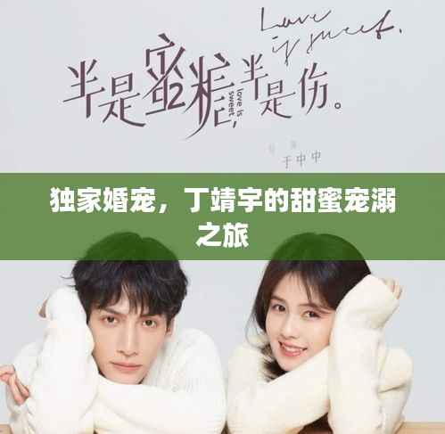 独家婚宠，丁靖宇的甜蜜宠溺之旅