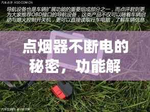 鸟语花香 第5页