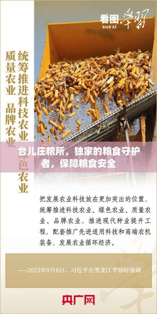 台儿庄粮所，独家的粮食守护者，保障粮食安全