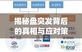 揭秘盘突发背后的真相与应对策略,深度剖析,不容错过!