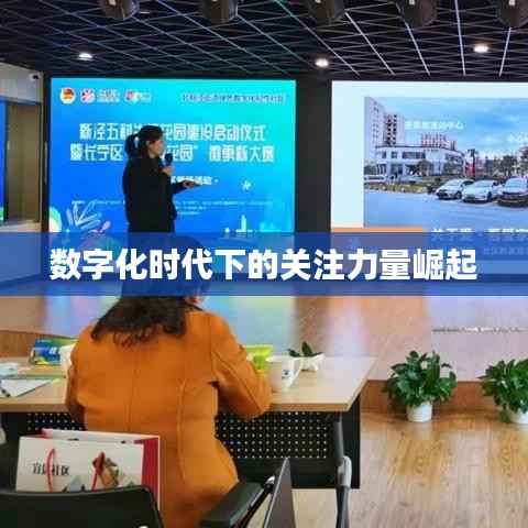 数字化时代下的关注力量崛起